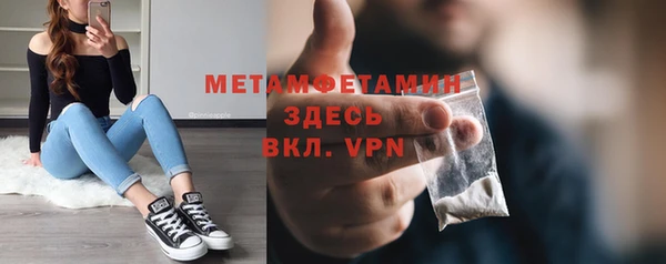 индика Костерёво