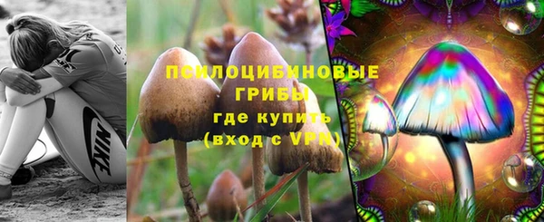 спиды Аркадак