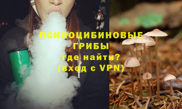 спиды Аркадак
