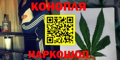 прущие грибы Кунгур