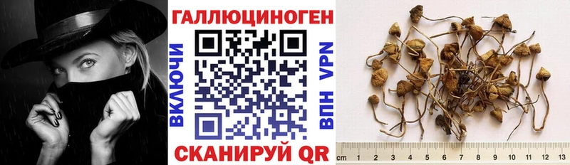 Галлюциногенные грибы мухоморы  Изобильный 