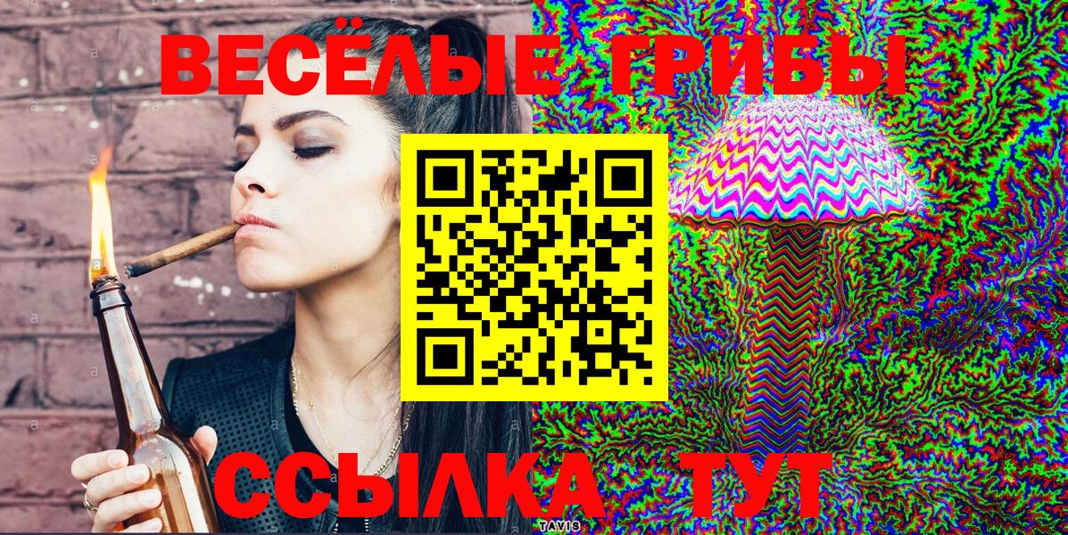 Псилоцибиновые грибы GOLDEN TEACHER Изобильный